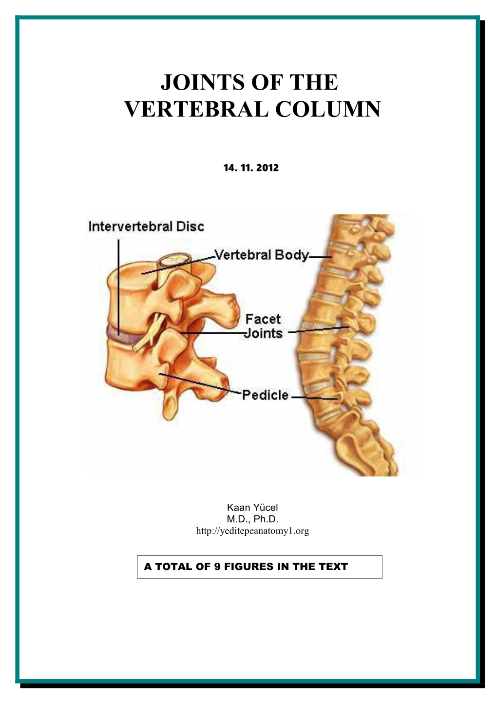 Dr.Kaan Yücel Joints of the Vertebral Column