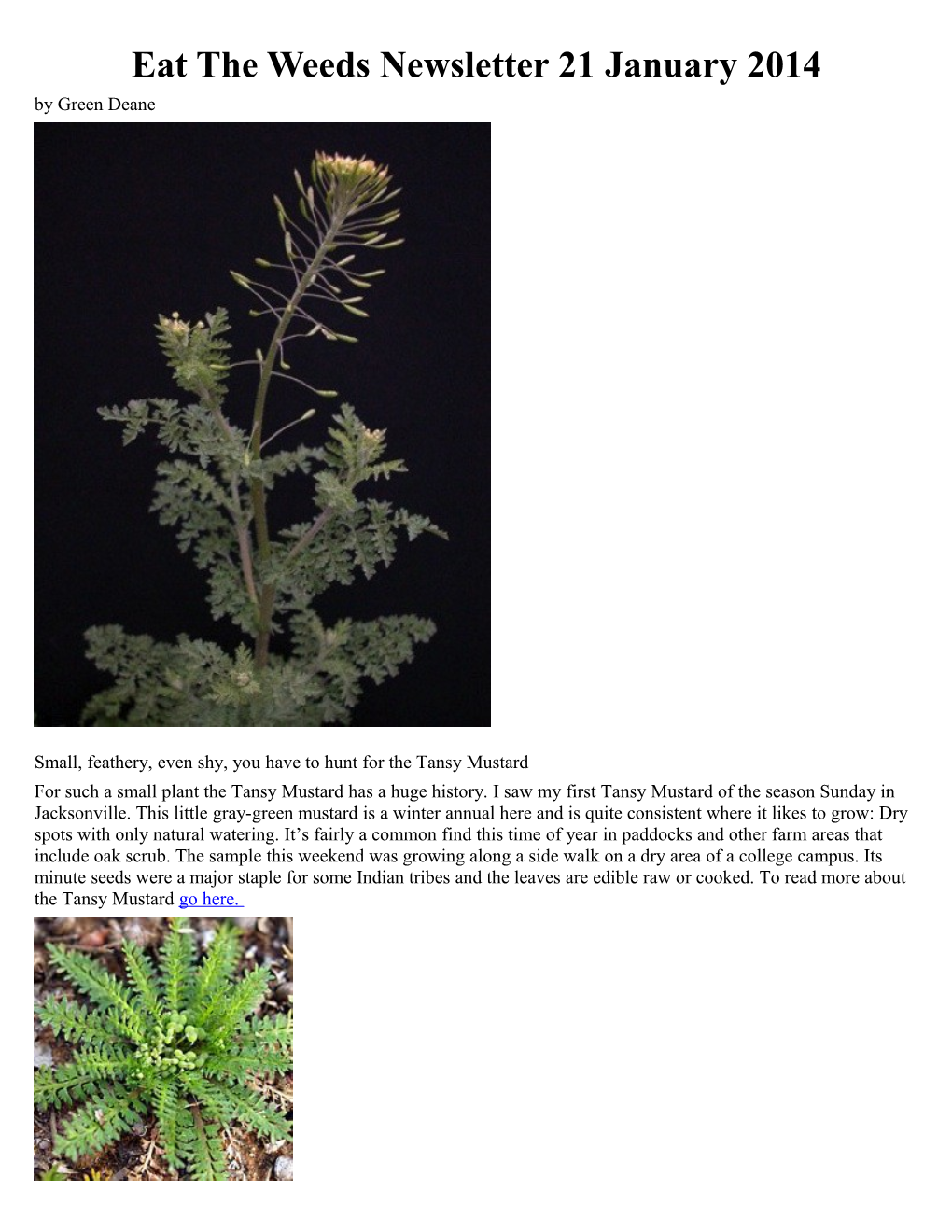 Eat the Weeds Newsletter 21 January 2014