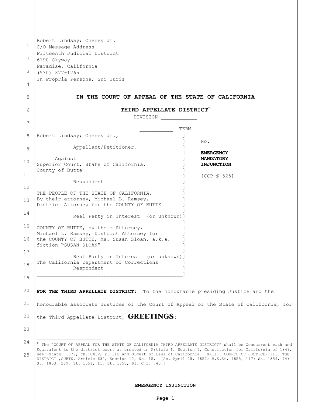 3Rd Appellate Pleading Template
