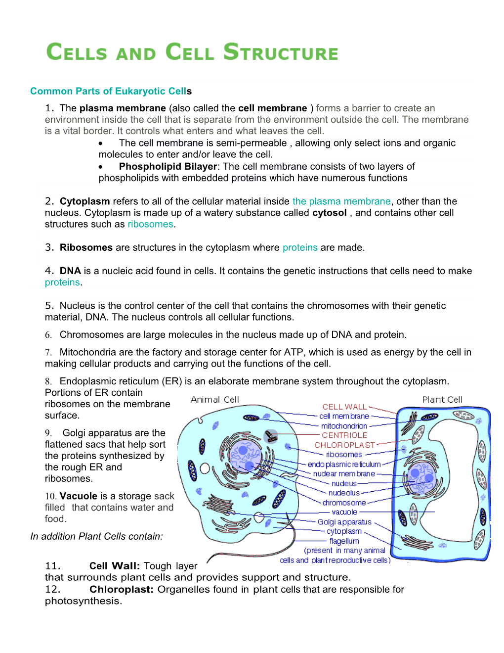 Common Parts of Eukaryotic Cell S