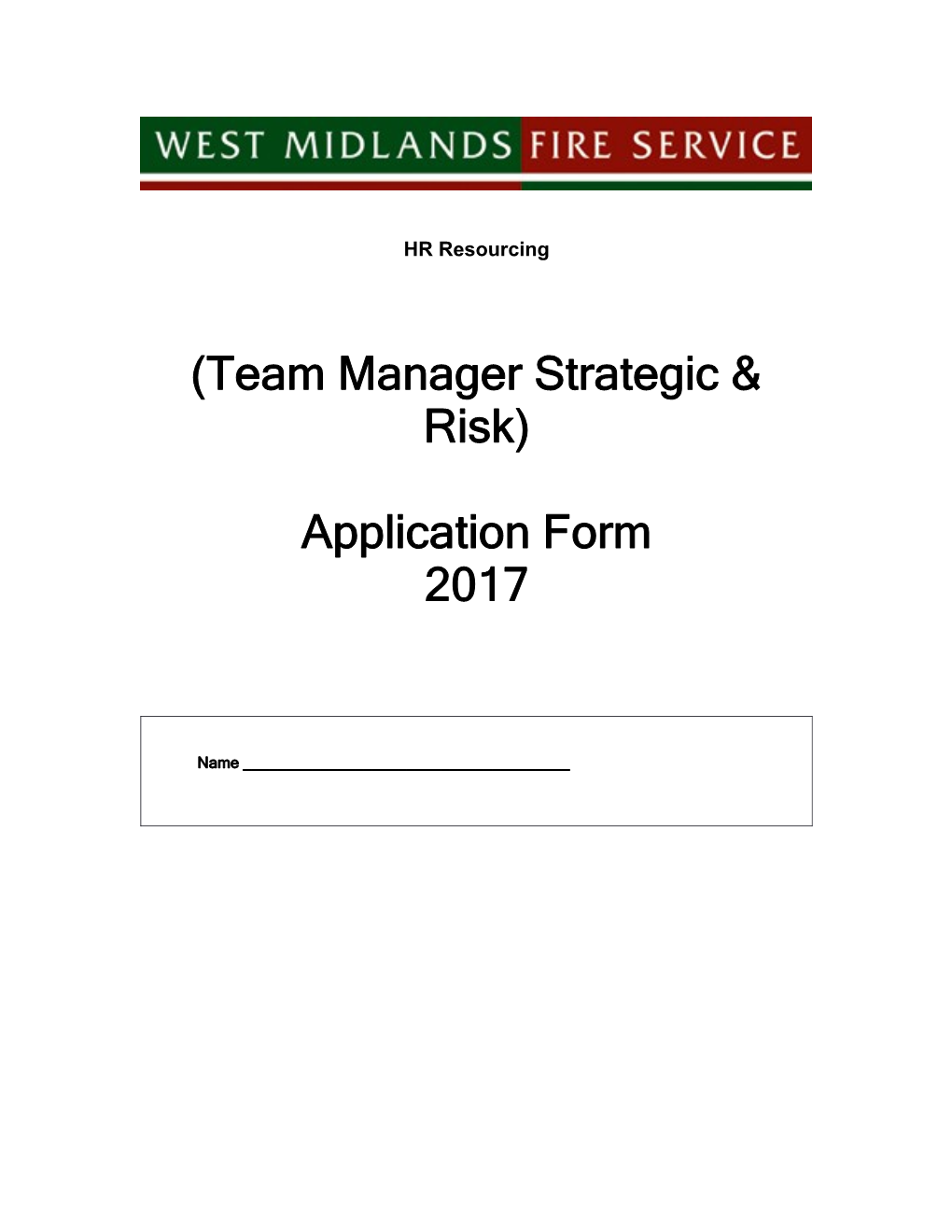 Team Manager Strategic & Risk