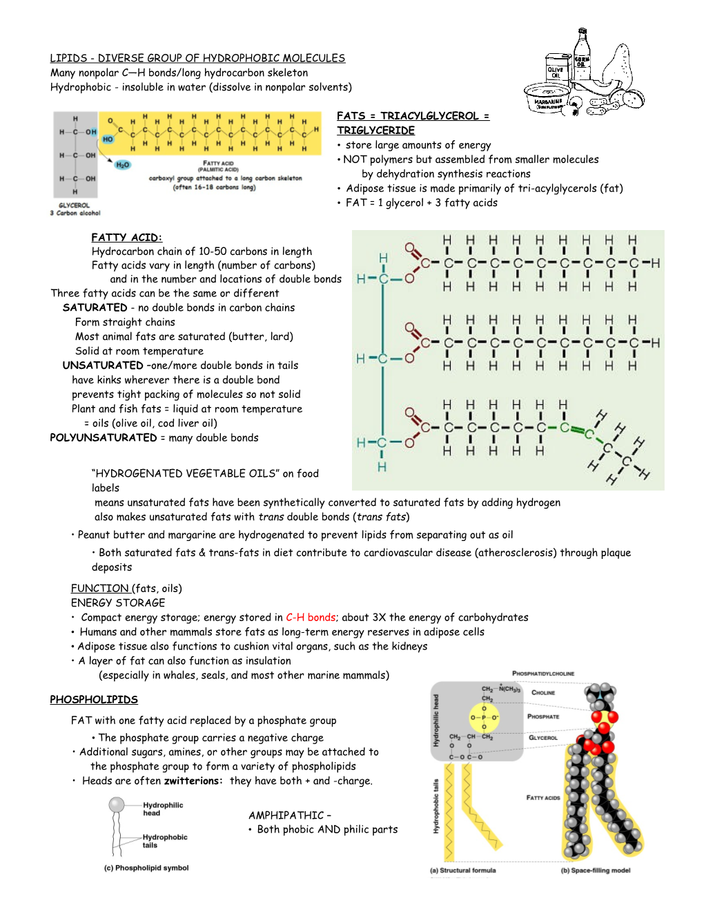 LIPIDS - DIVERSE GROUP of HYDROPHOBIC MOLECULES Many Nonpolar C H Bonds/Long Hydrocarbon