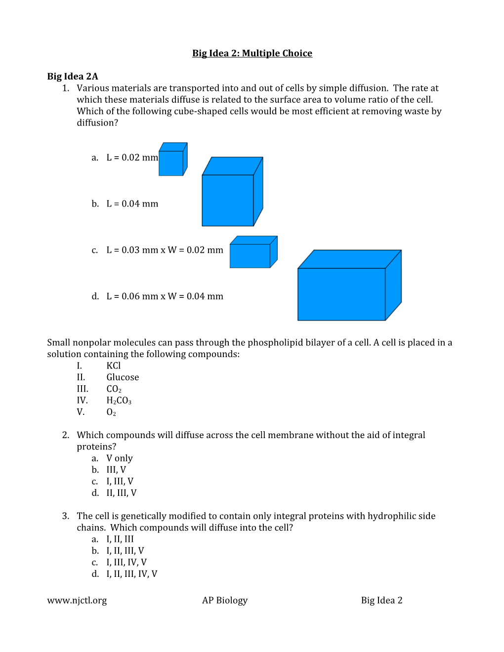 Big Idea 2: Multiple Choice