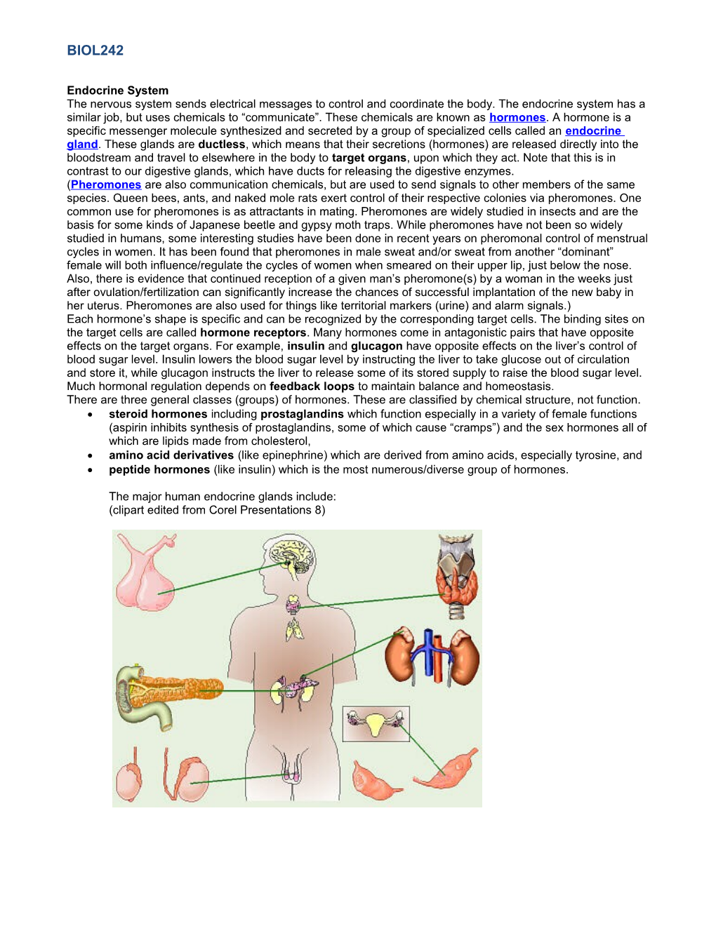 Endocrine System