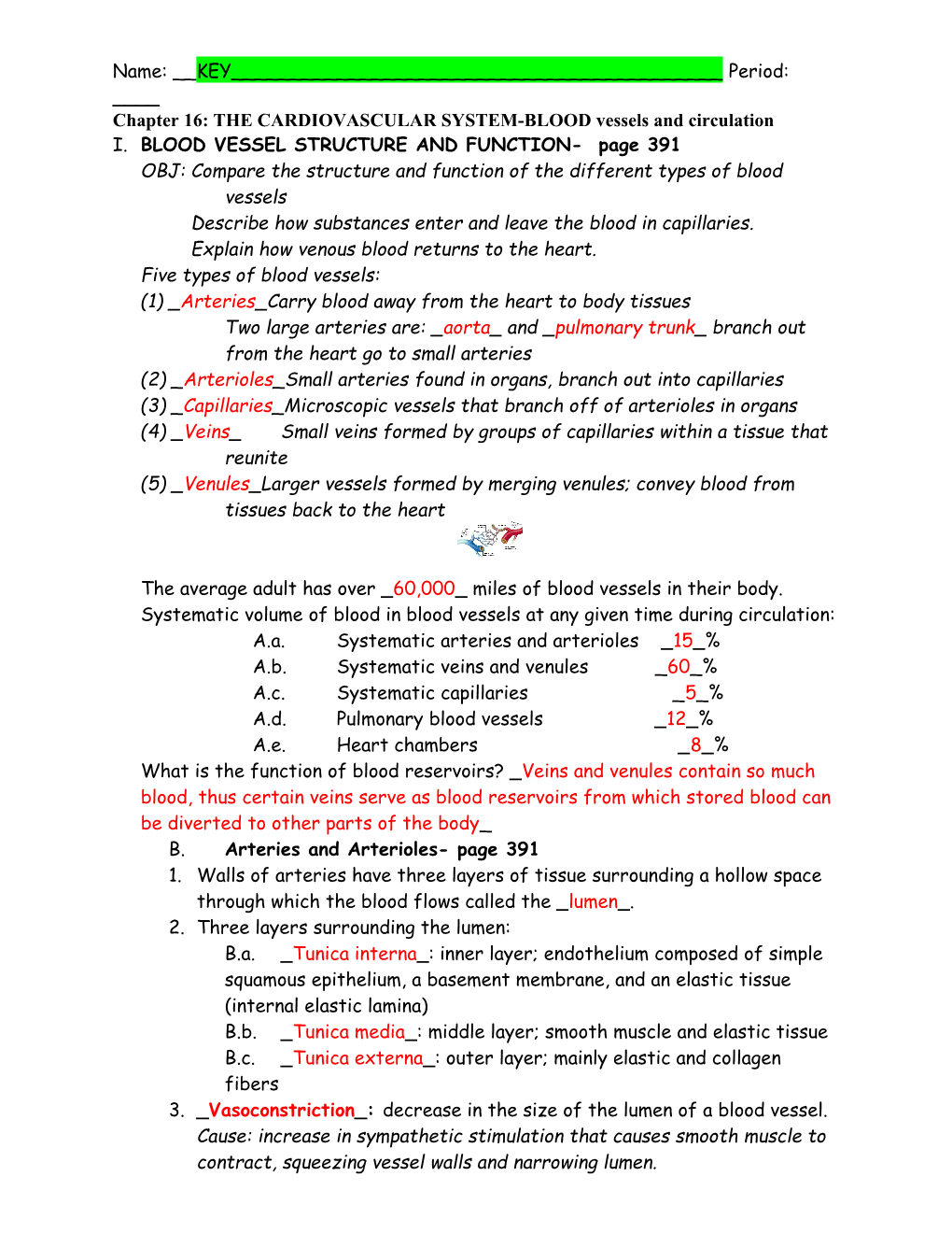 Chapter 16: the CARDIOVASCULAR SYSTEM-BLOOD Vessels and Circulation