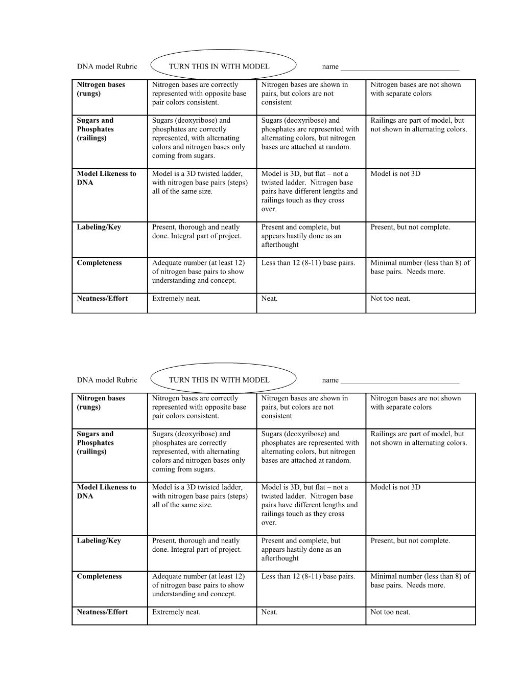 DNA Model Rubric