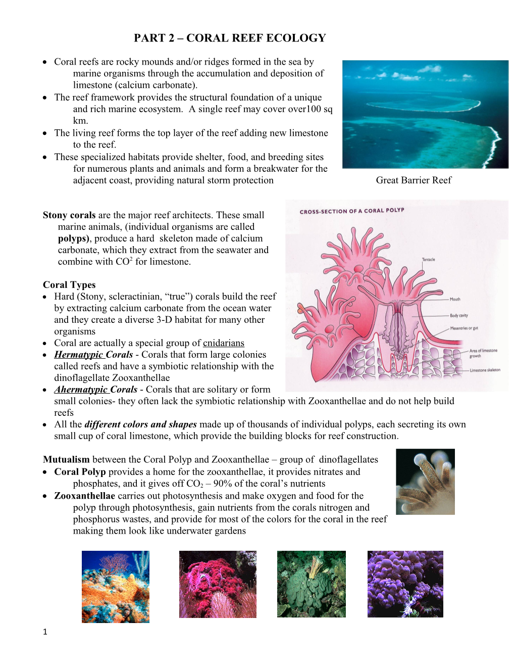 Part 2 Coral Reef Ecology