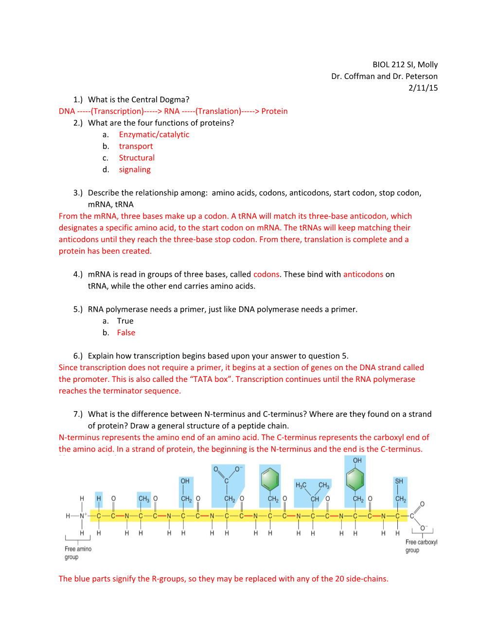 1.)What Is the Central Dogma?