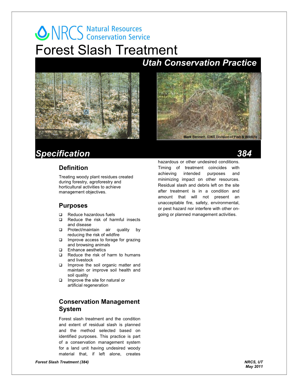 Forest Slashtreatment