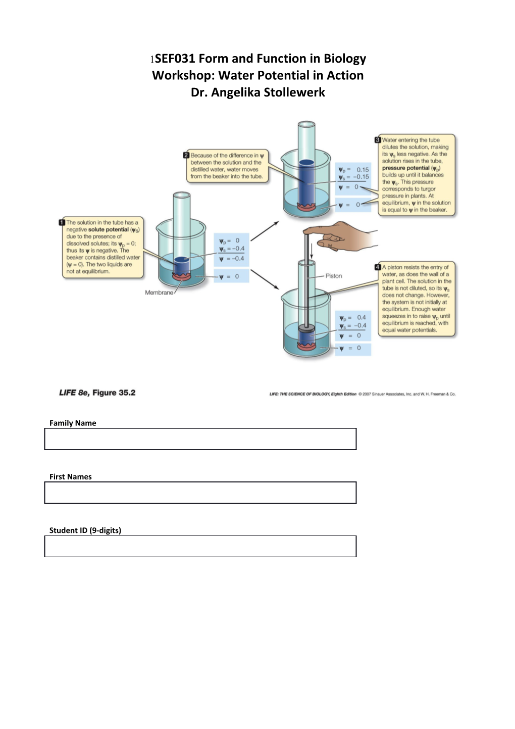 SEF031 Form and Function in Biology