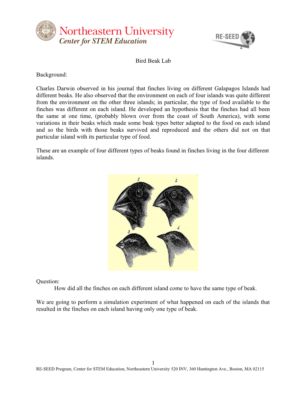 Bird Beak Lab Worksheet