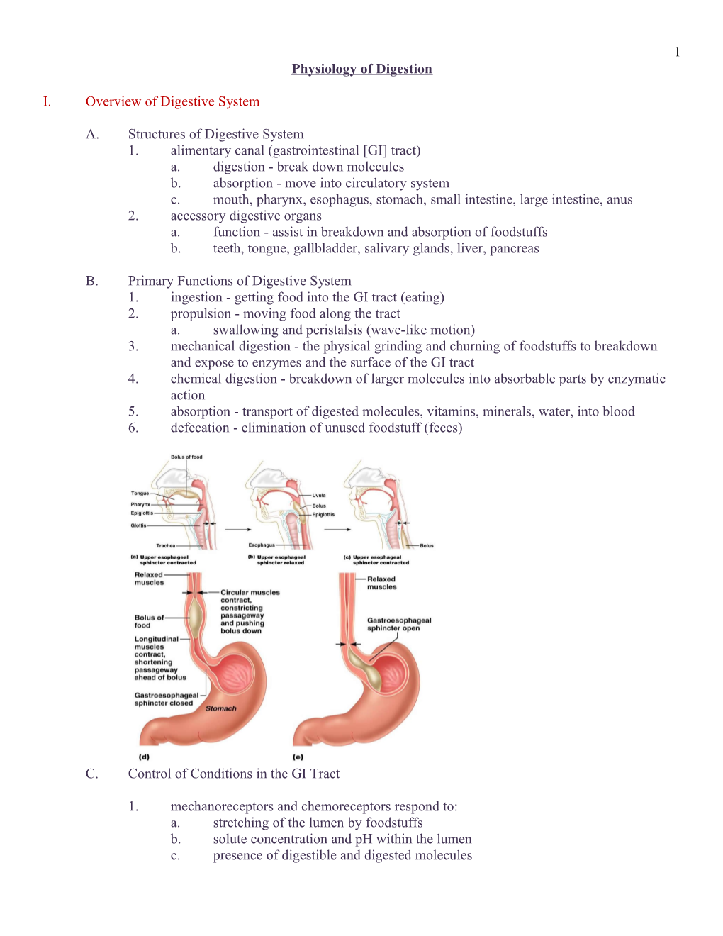 Lecture: Physiology of Digestion