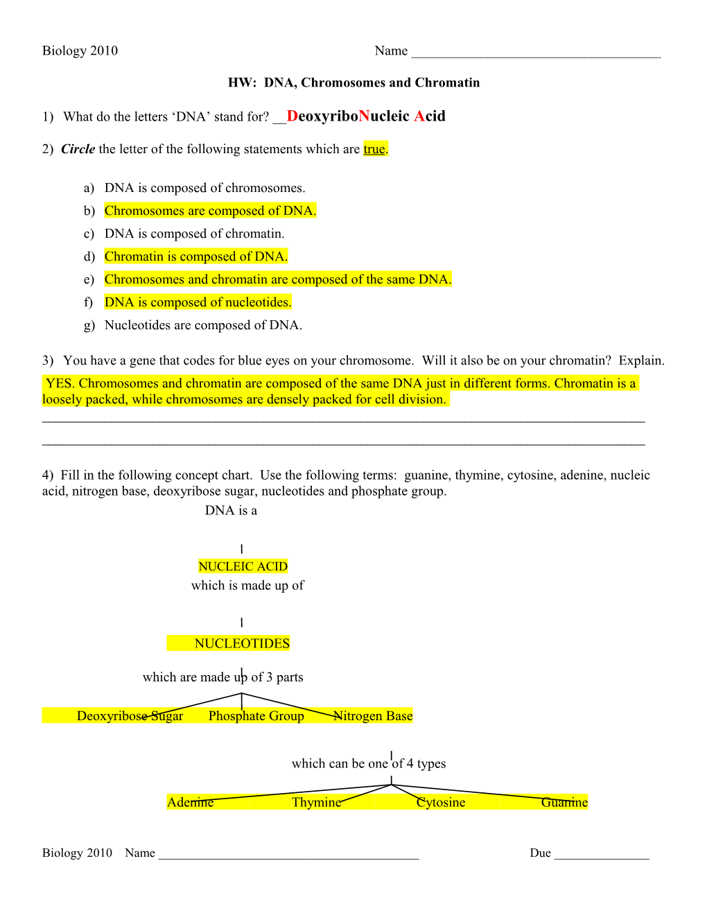 HW: DNA, Chromosomes and Chromatin