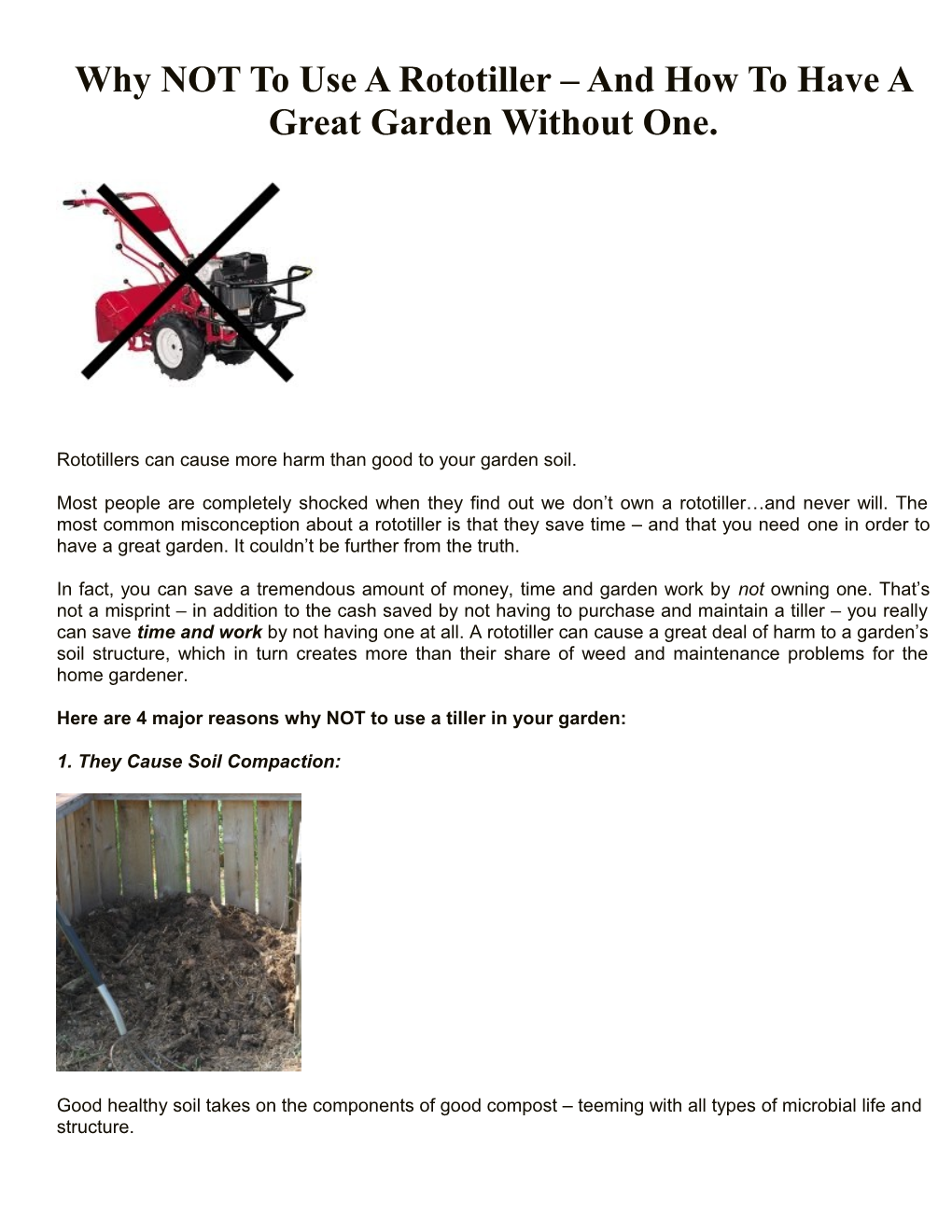 Why NOT to Use a Rototiller and How to Have a Great Garden Without One