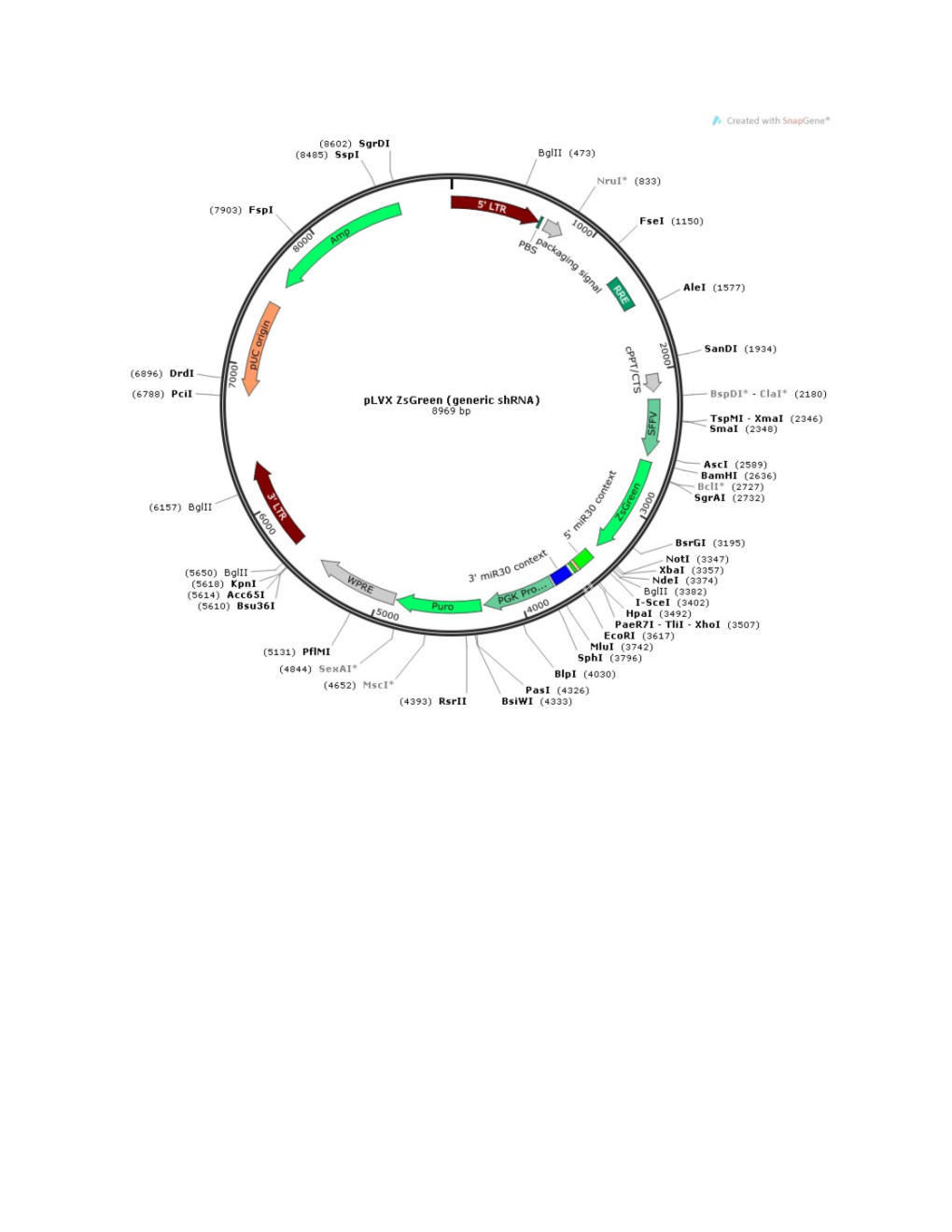 LOCUS Exported File 8969 Bp Ds-DNA Circular SYN 04-DEC-2013