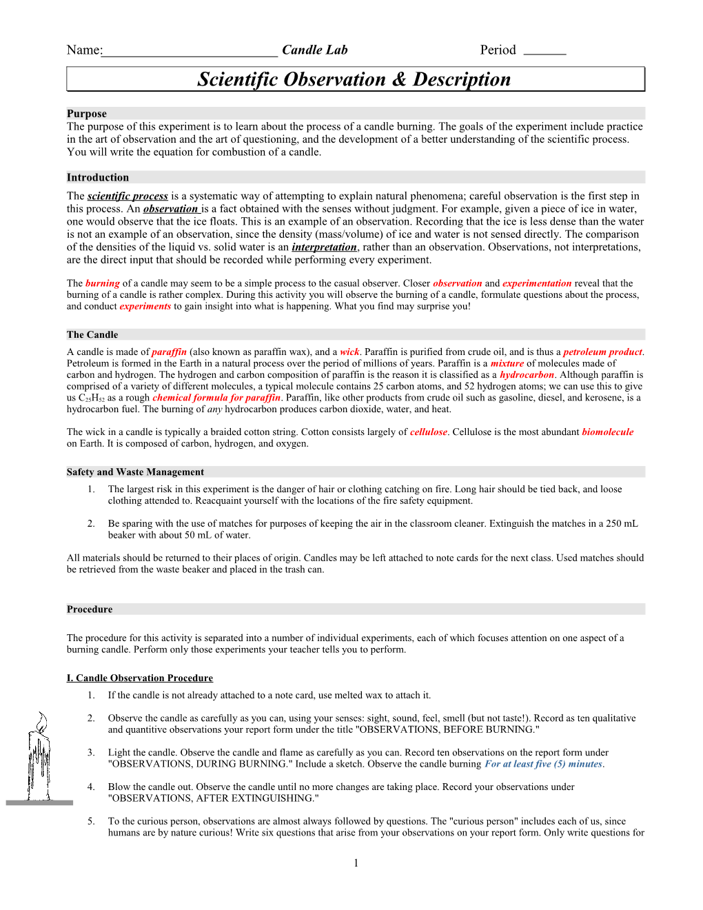 Scientific Observation & Description