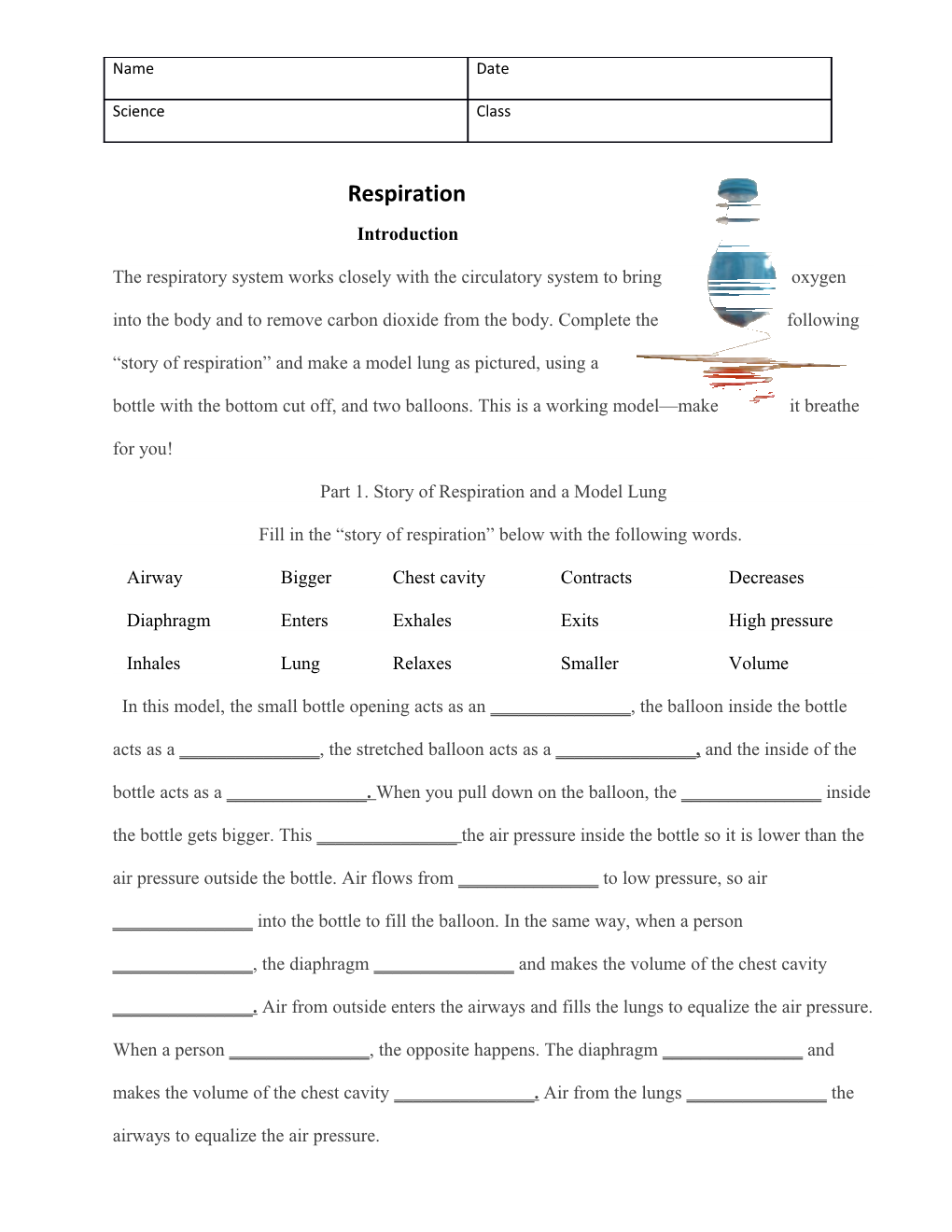 Part 1. Story of Respiration and a Model Lung