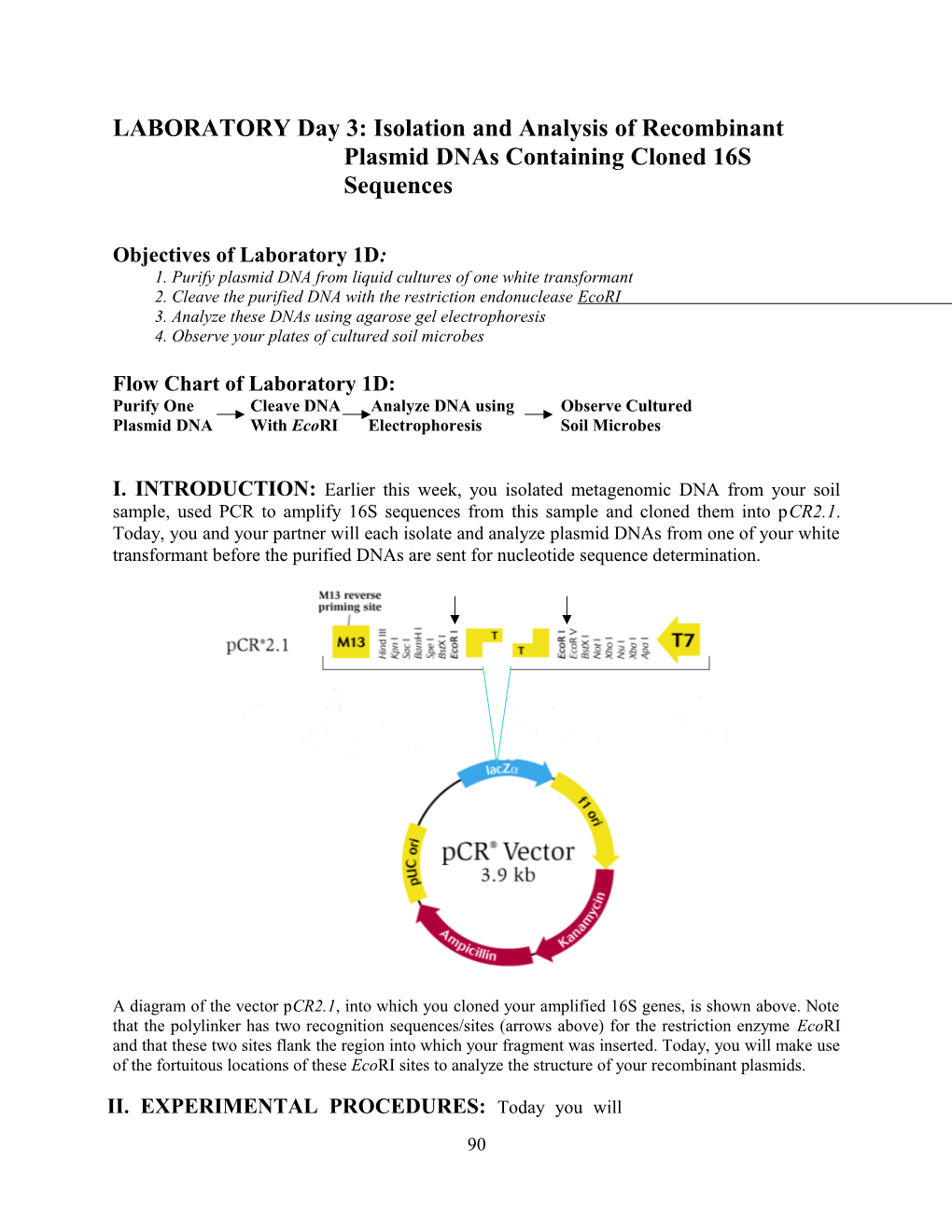 LABORATORY 2: Isolation of Genomic DNA from Yeast and Plasmid DNA from E