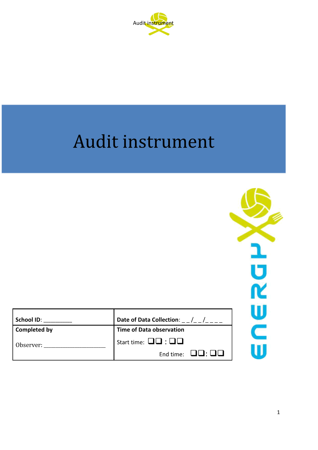 Audit Instrument