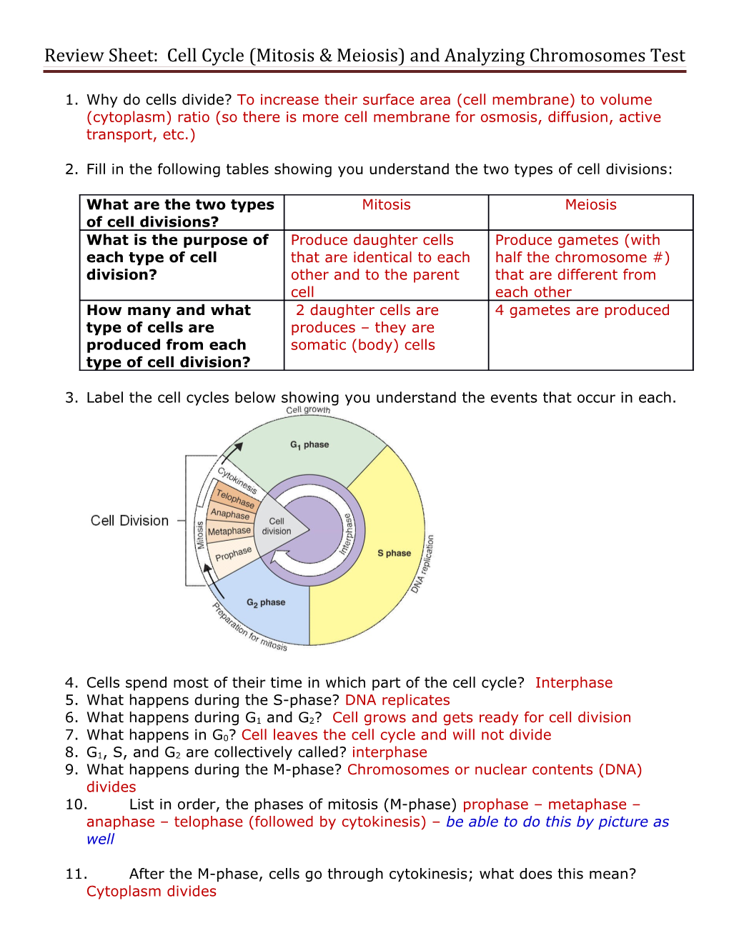 Review Sheet: Cell Cycle (Mitosis & Meiosis) and Analyzing Chromosomes Test