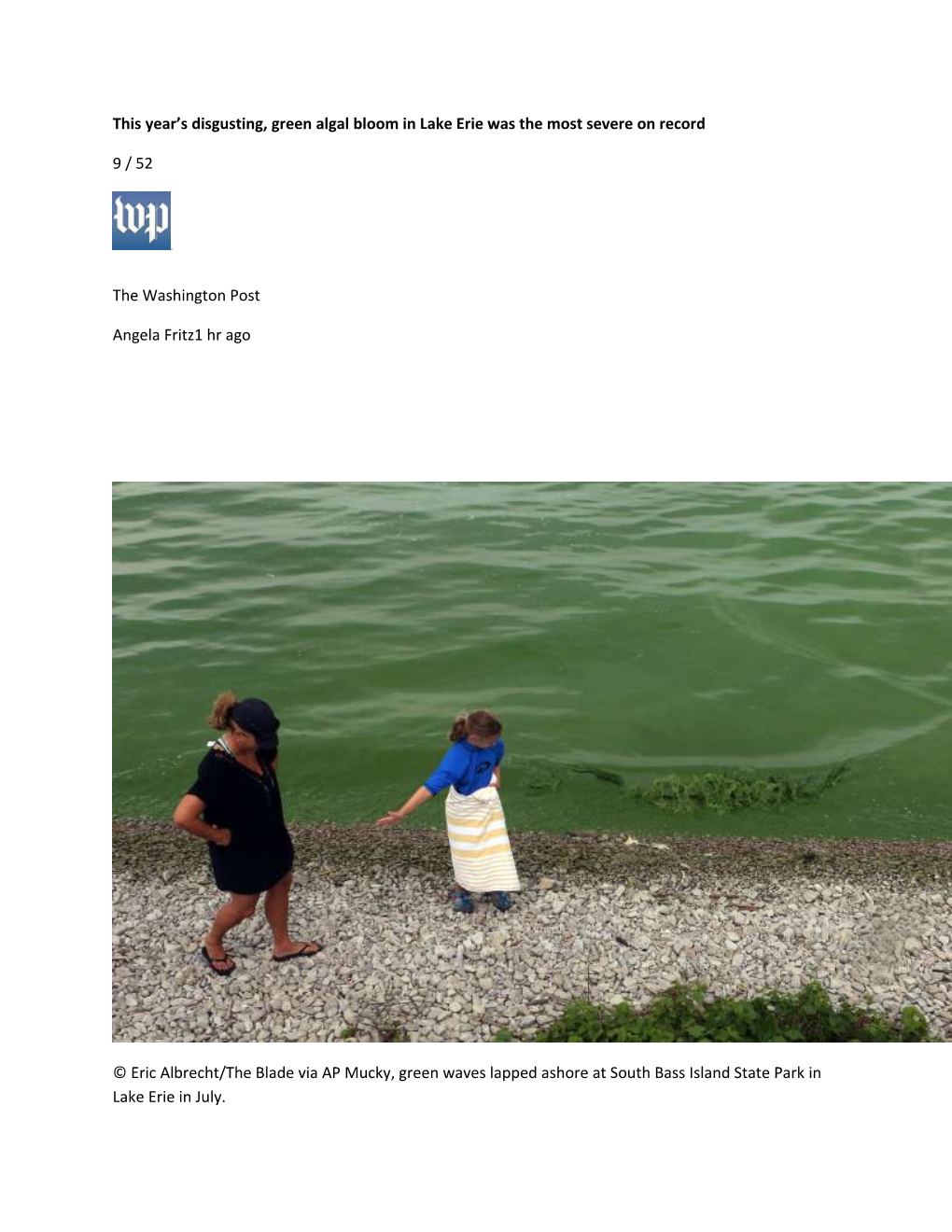 This Year S Disgusting, Green Algal Bloom in Lake Erie Was the Most Severe on Record