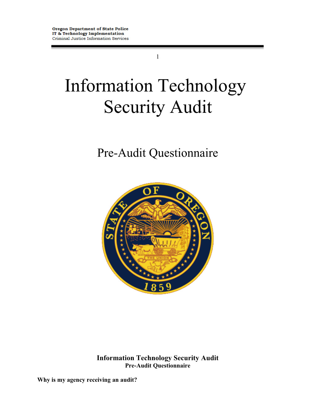 Information Technology Security Audit