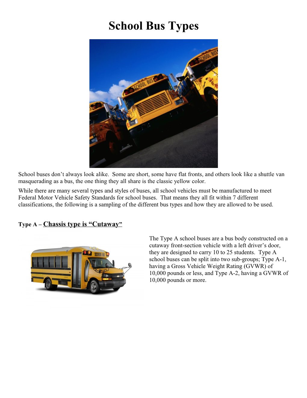 School Bus Types