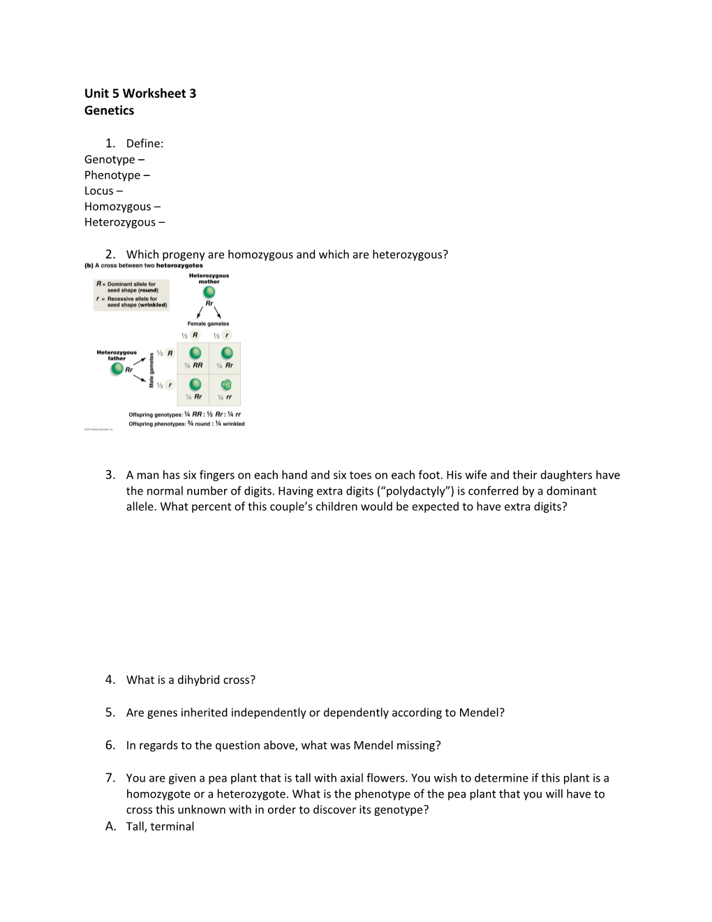 Unit 5 Worksheet 3