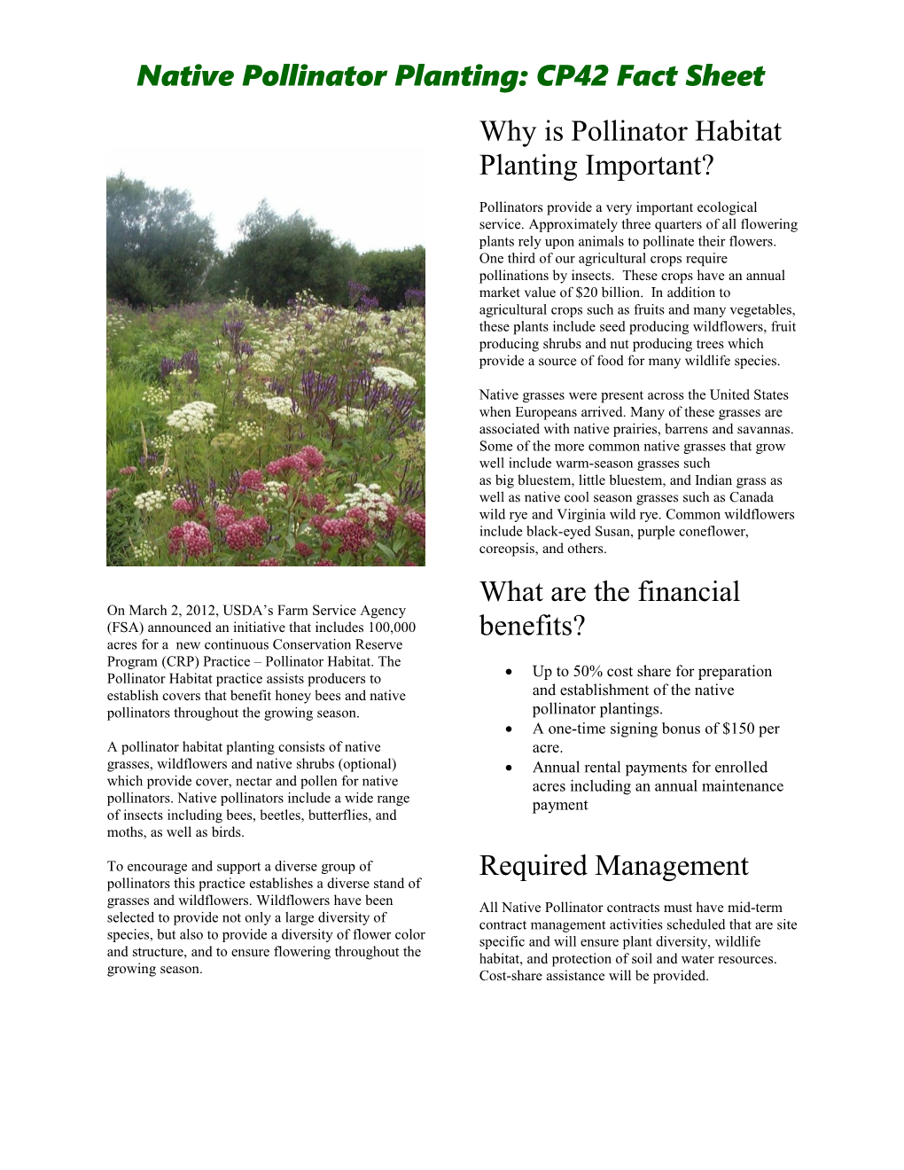 Native Pollinator Planting: CP42 Fact Sheet