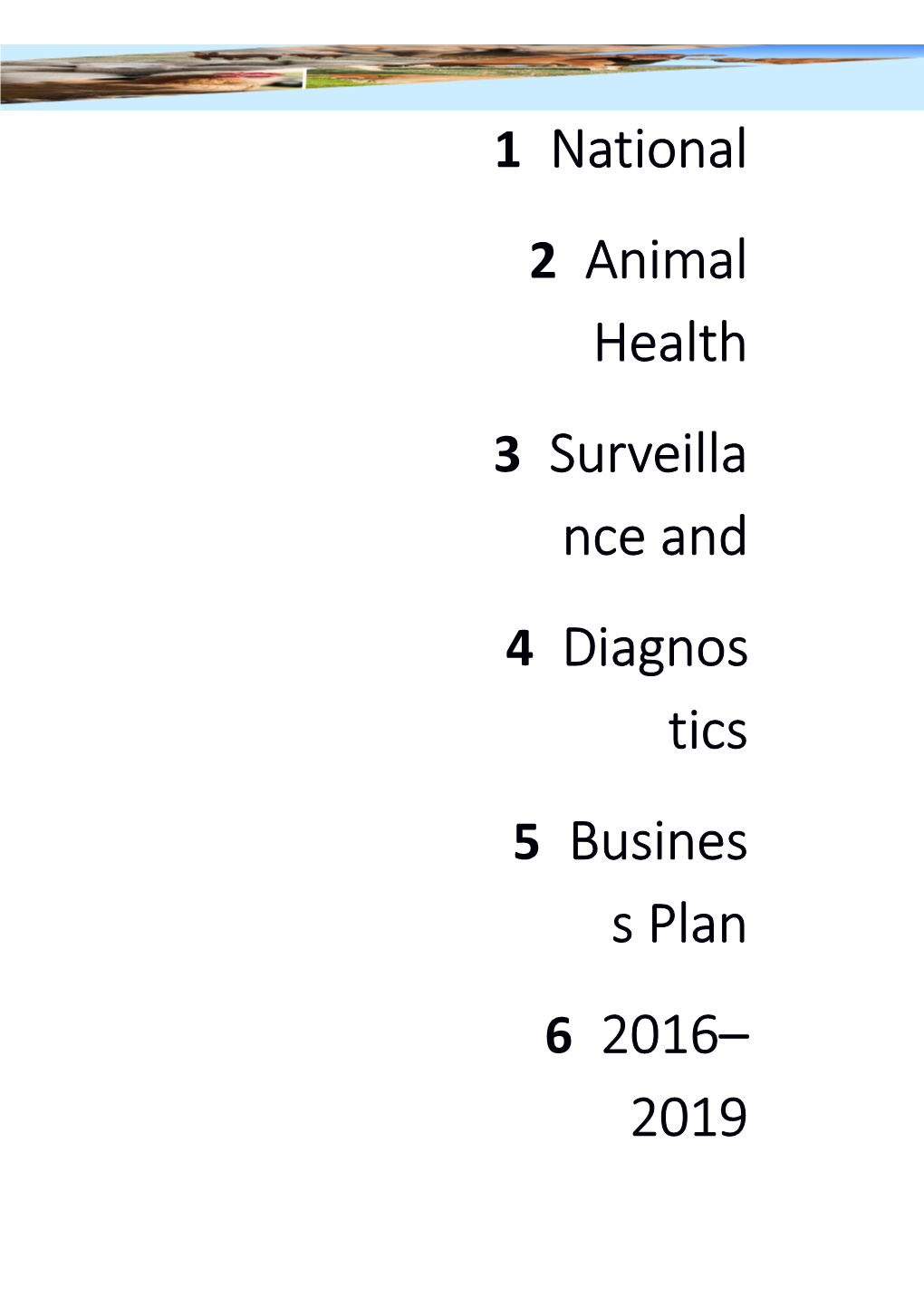 National Animal Health Surveillance and Diagnostics Business Plan 2016 2019