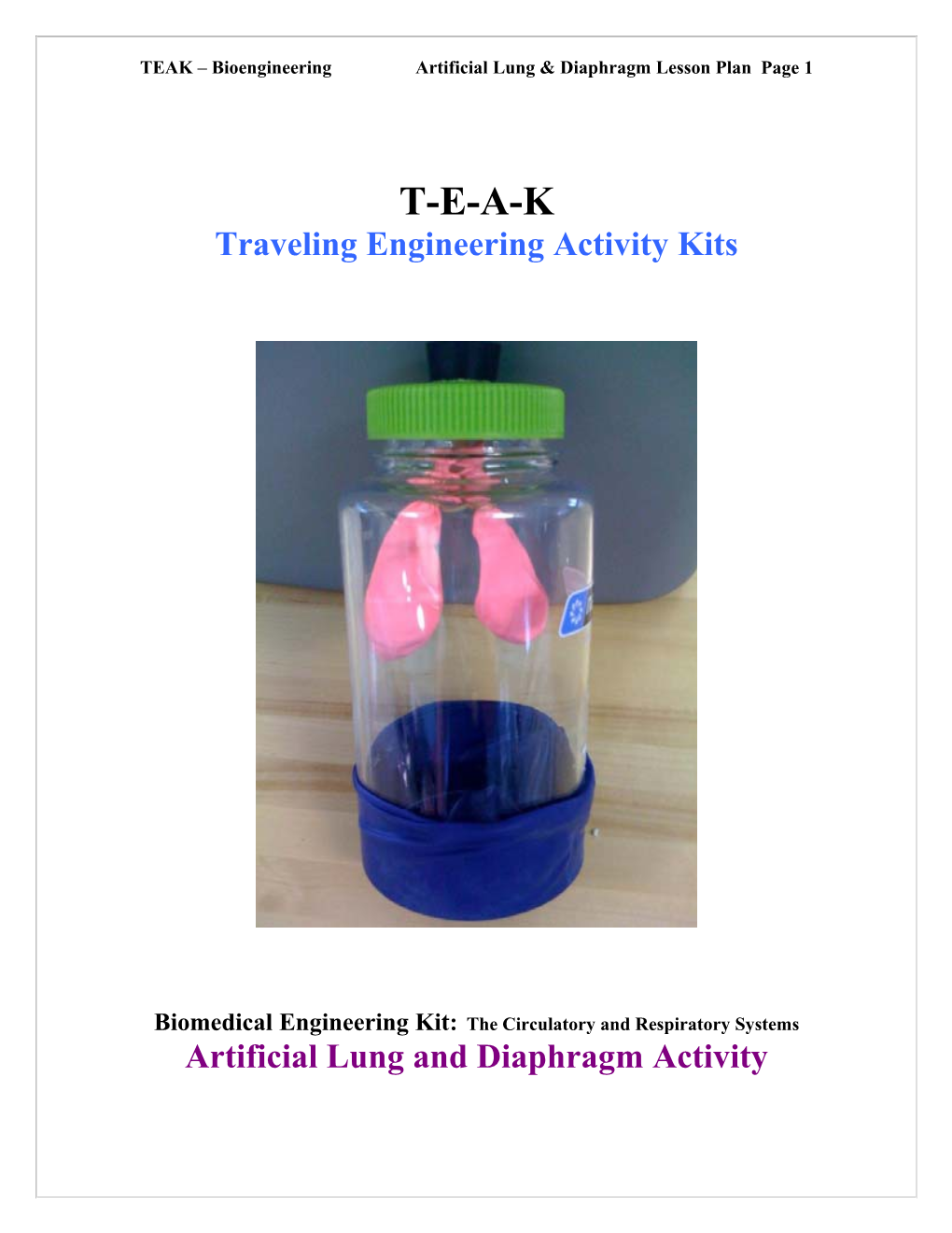 TEAK Bioengineering Artificial Lung & Diaphragm Lesson Plan