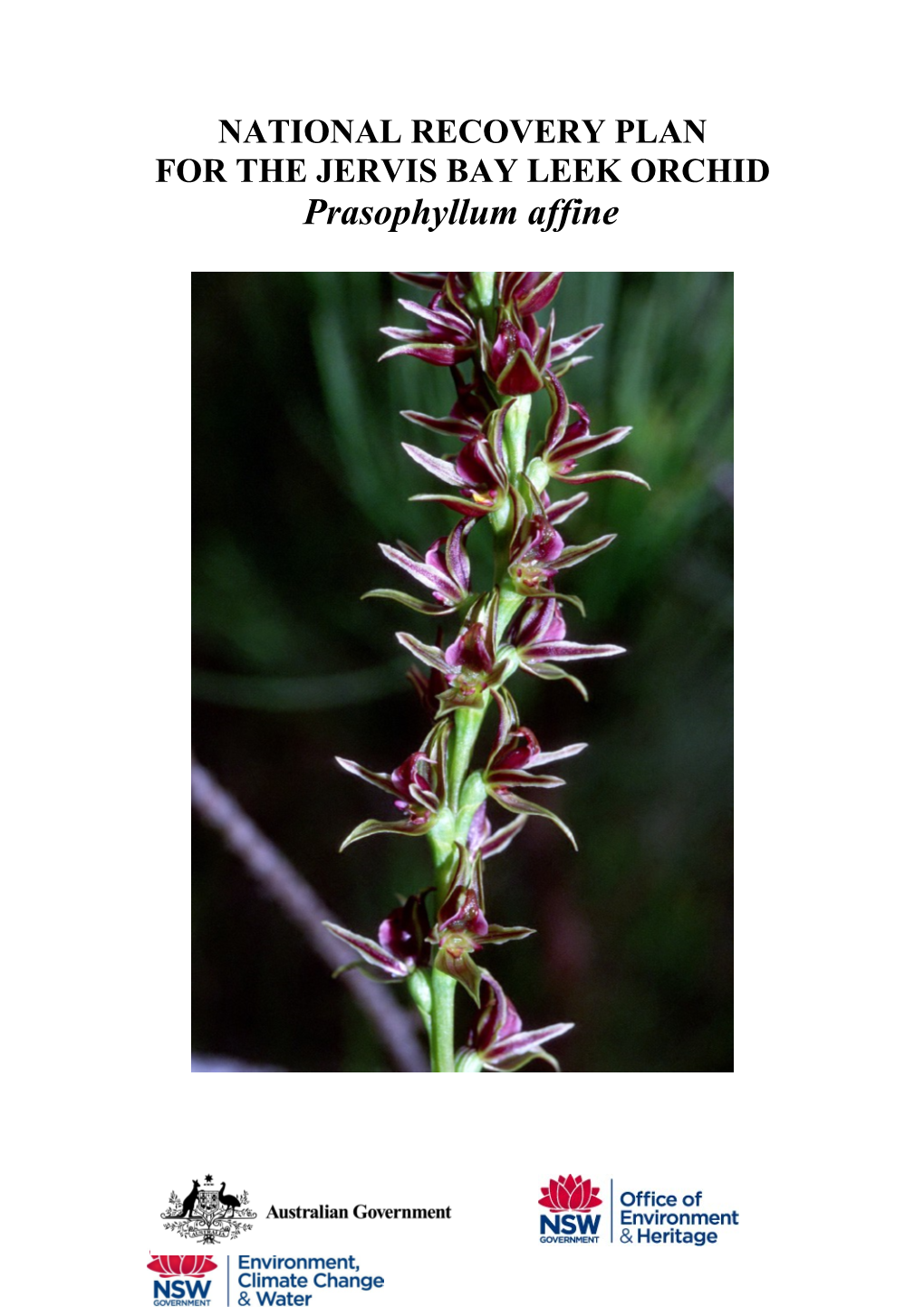 National Recovery Plan for the Jervis Bay Leek Orchid Prasophyllum Affine