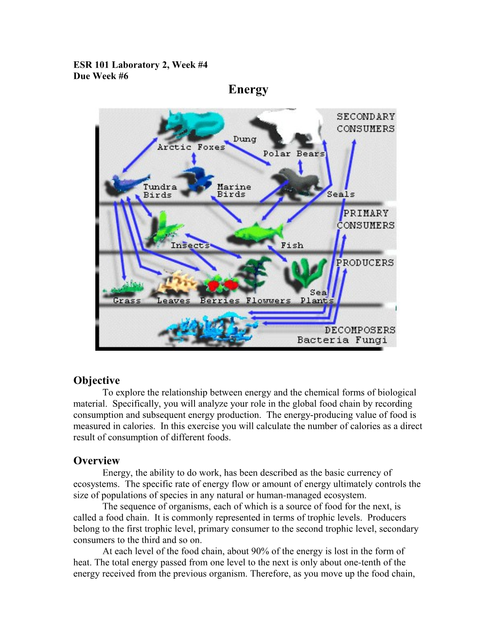 ESR 101 Laboratory 2, Week #4