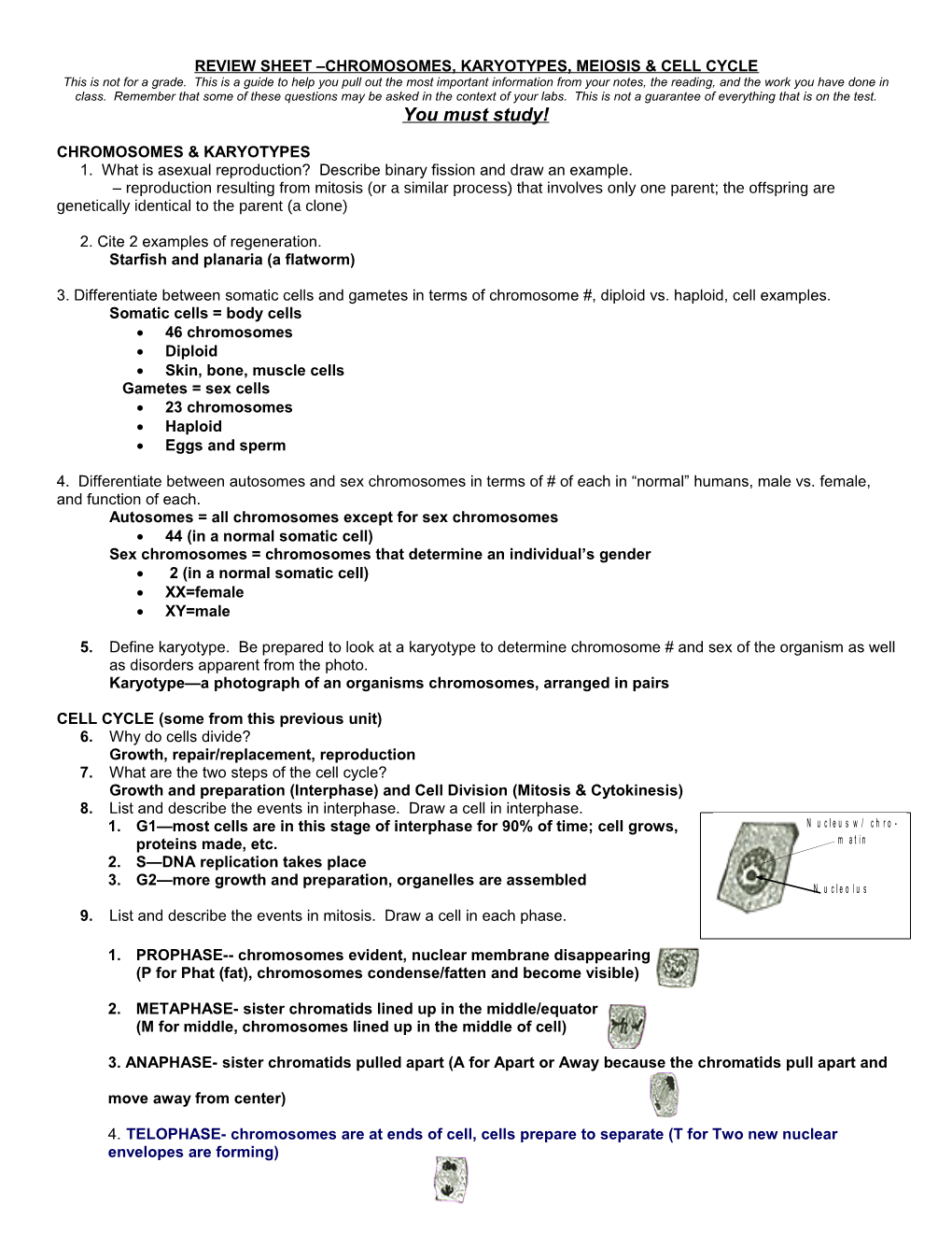 Review Sheet Dna & Cell Division