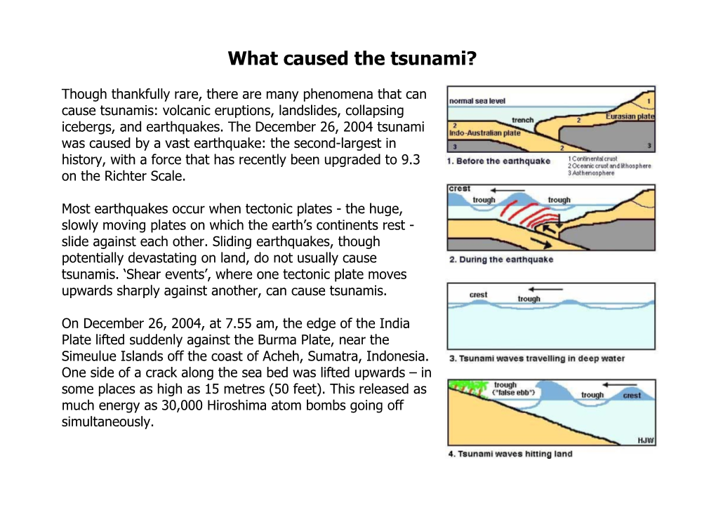 What Caused the Tsunami