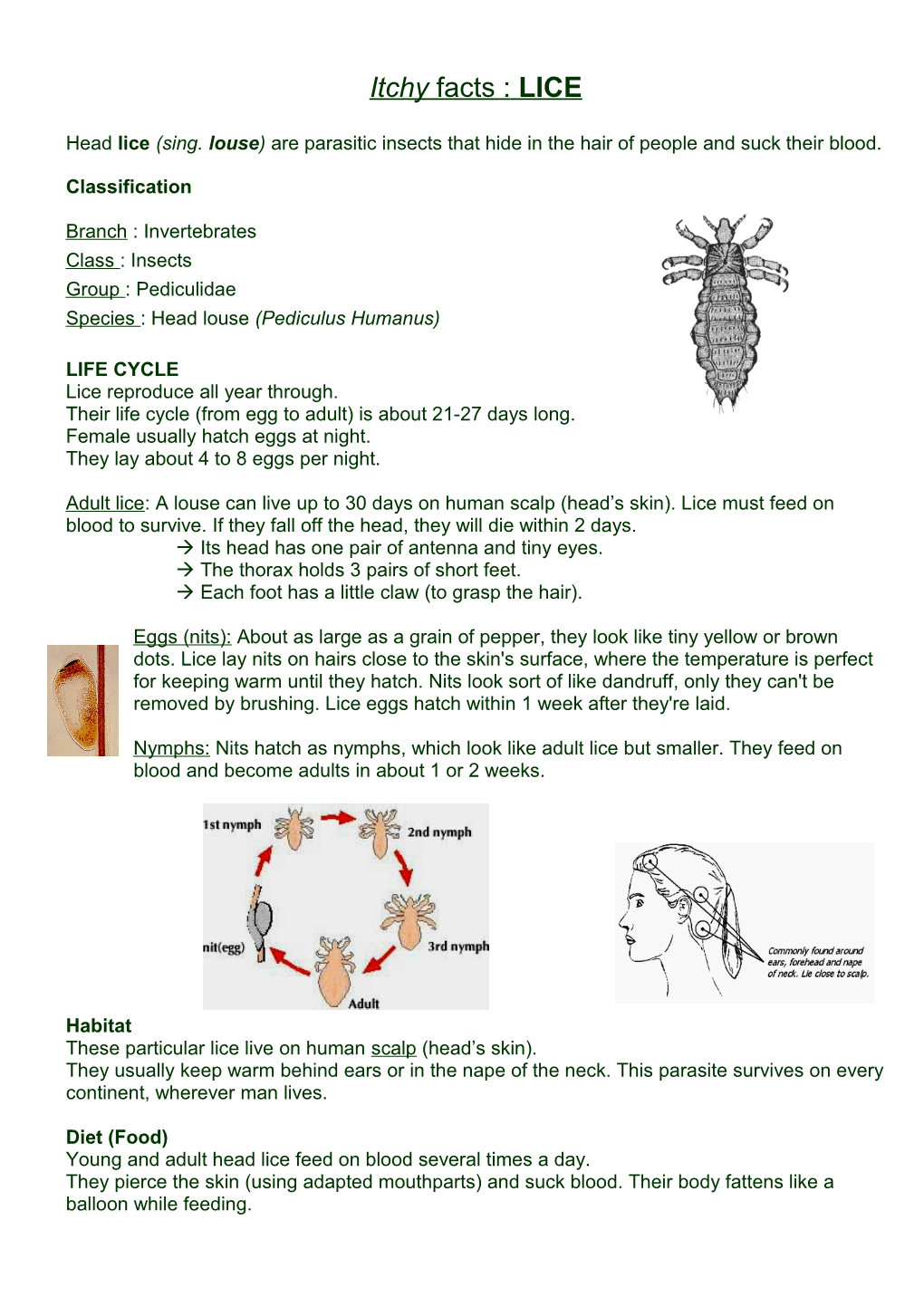 Itchy Facts : LICE