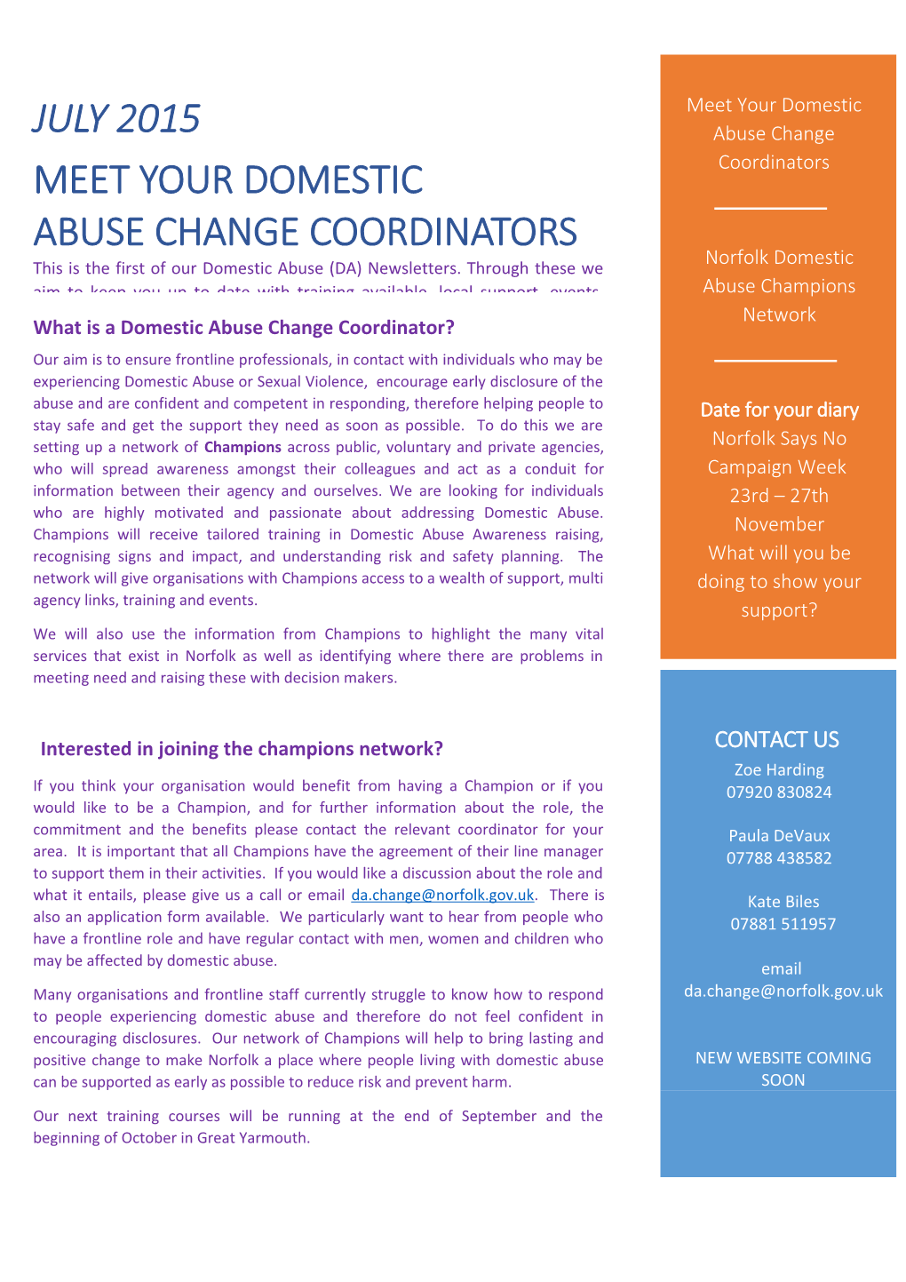 What Is a Domestic Abuse Change Coordinator?