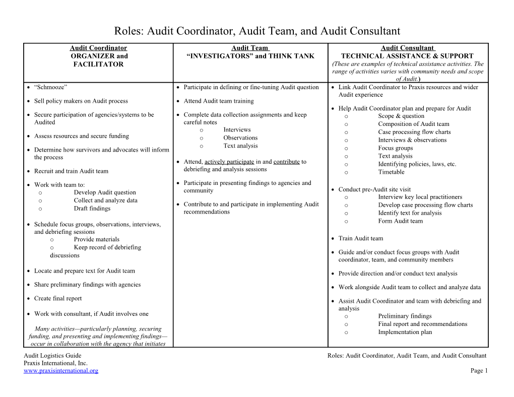 Roles: Audit Coordinator, Audit Team, and Audit Consultant