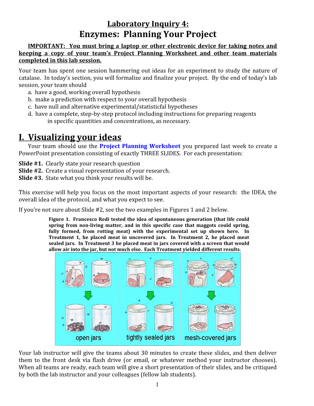 Enzymes: Planning Your Project