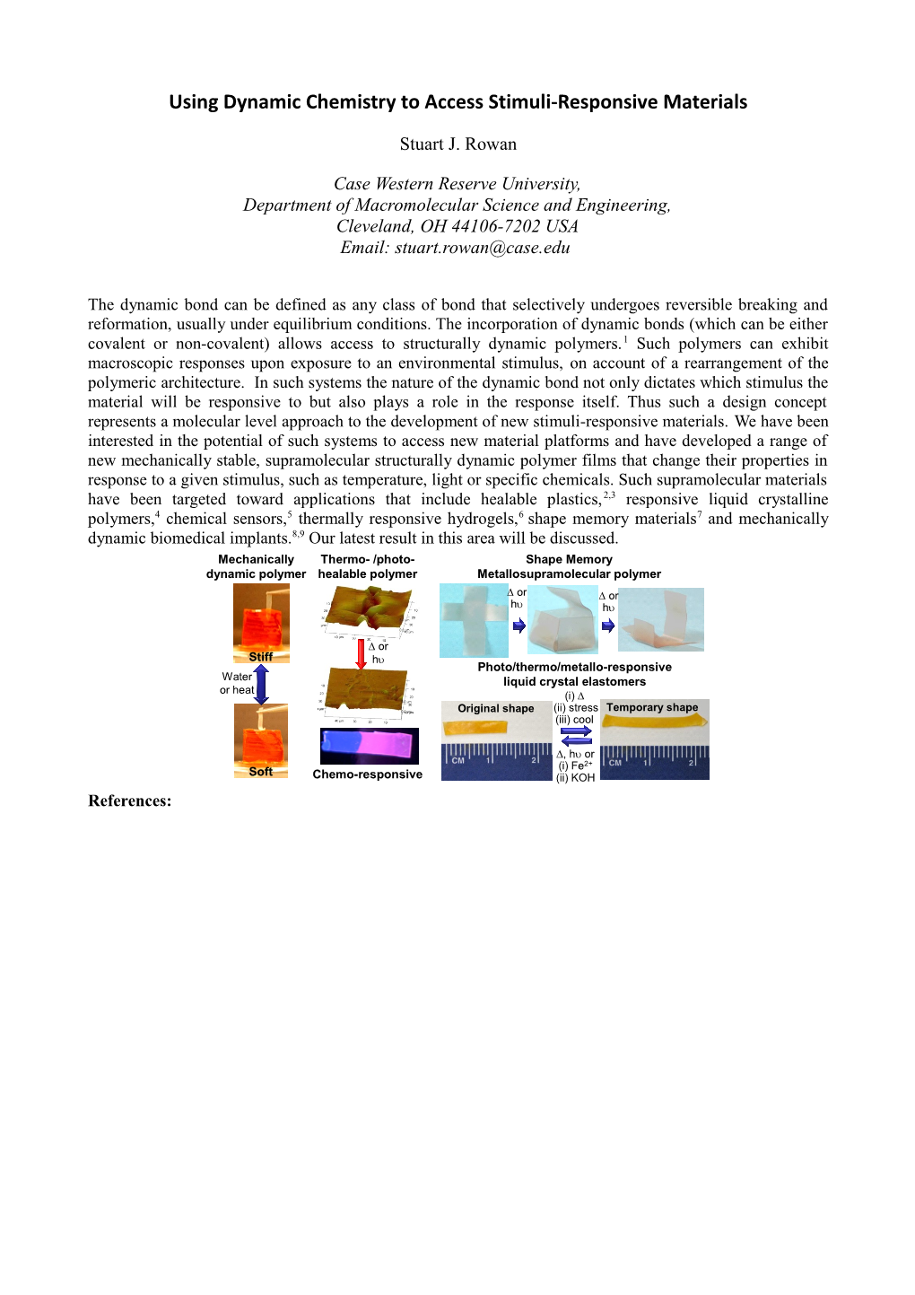 Generation of Strong Dipole Layer and Function