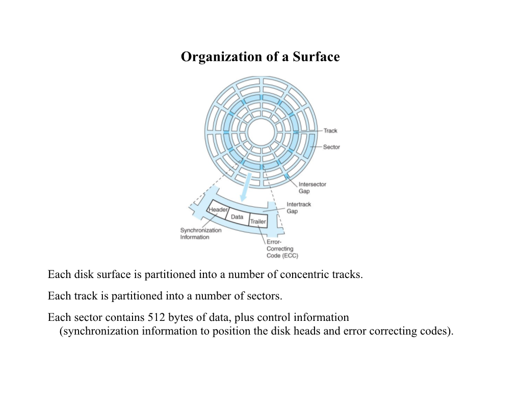 Organization of a Surface