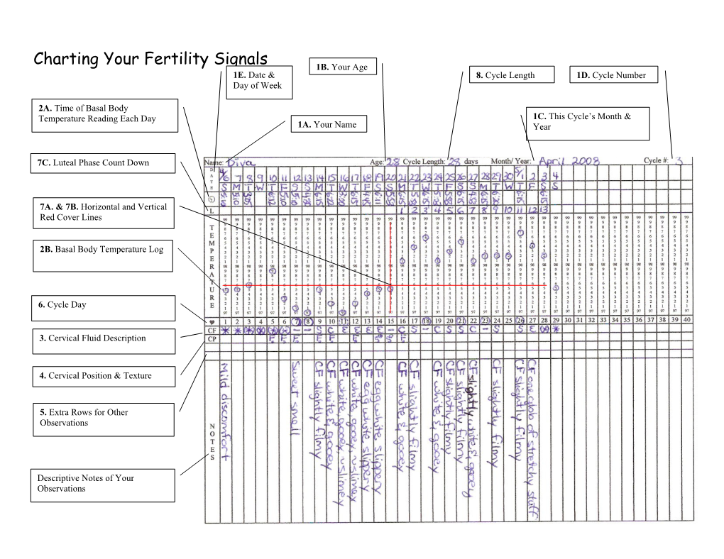How to Fill in Your Basic Fertility Chart