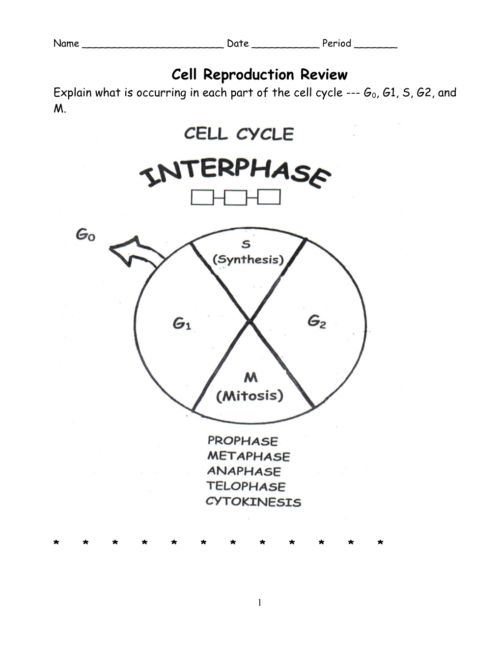 Cell Reproduction Review