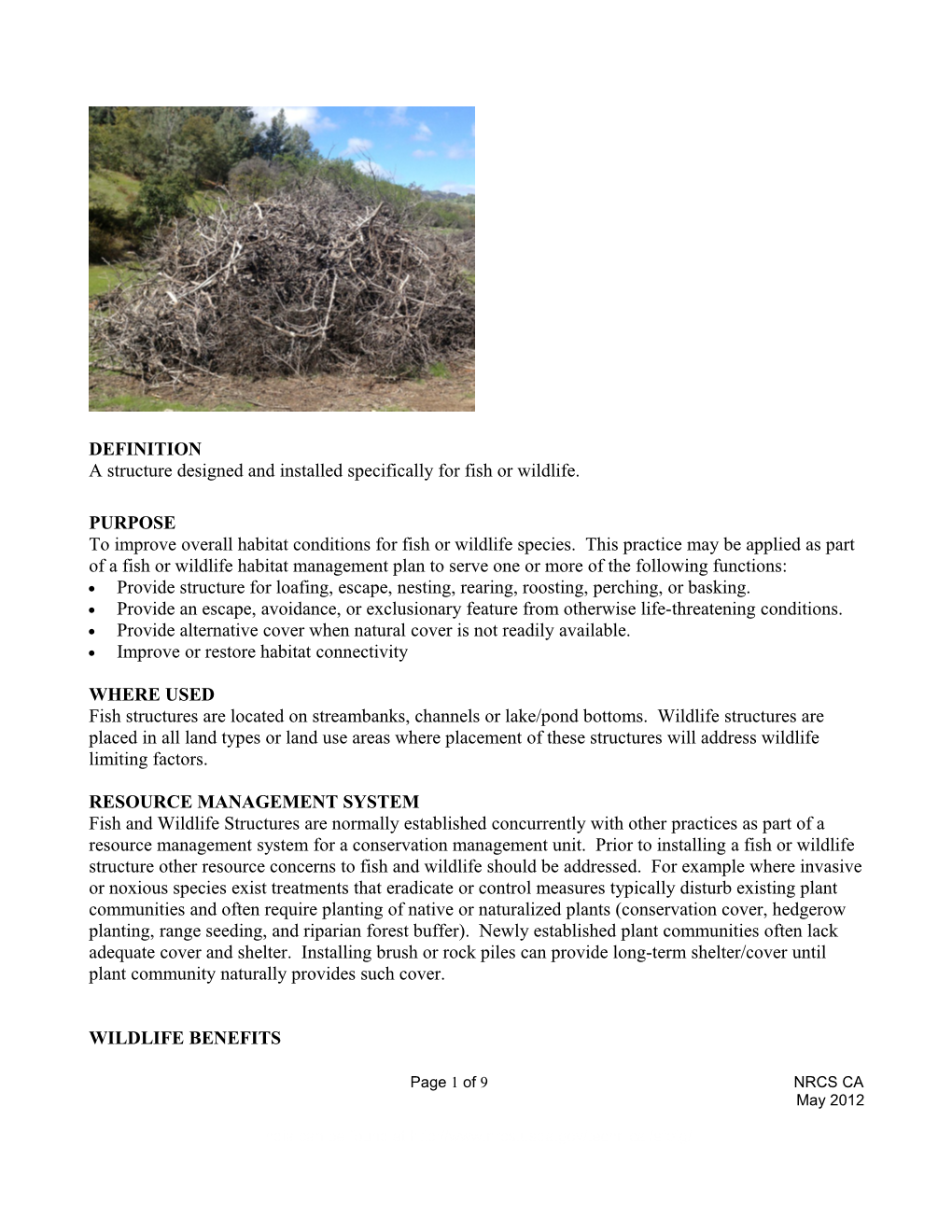 California Wildlife Brush & Rock Pile Job Sheet