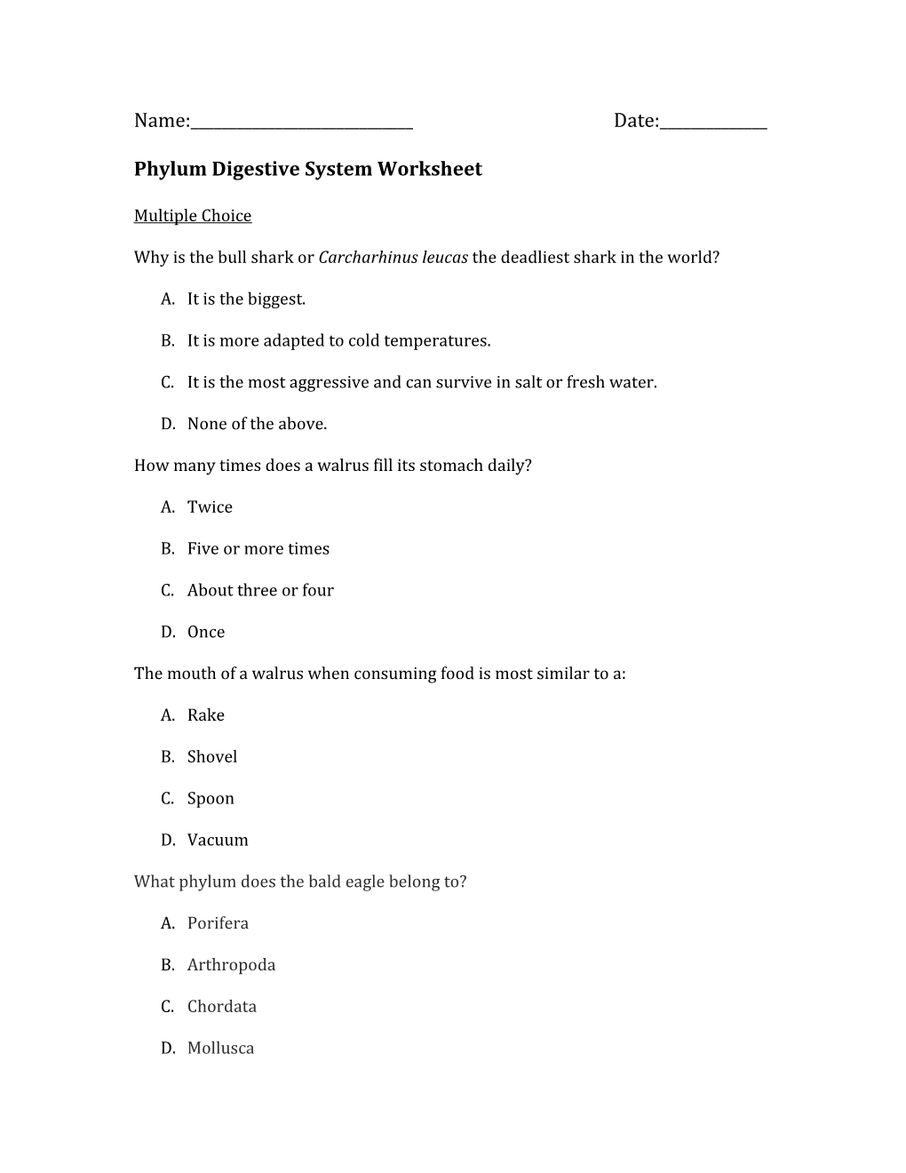 Phylum Digestive System Worksheet