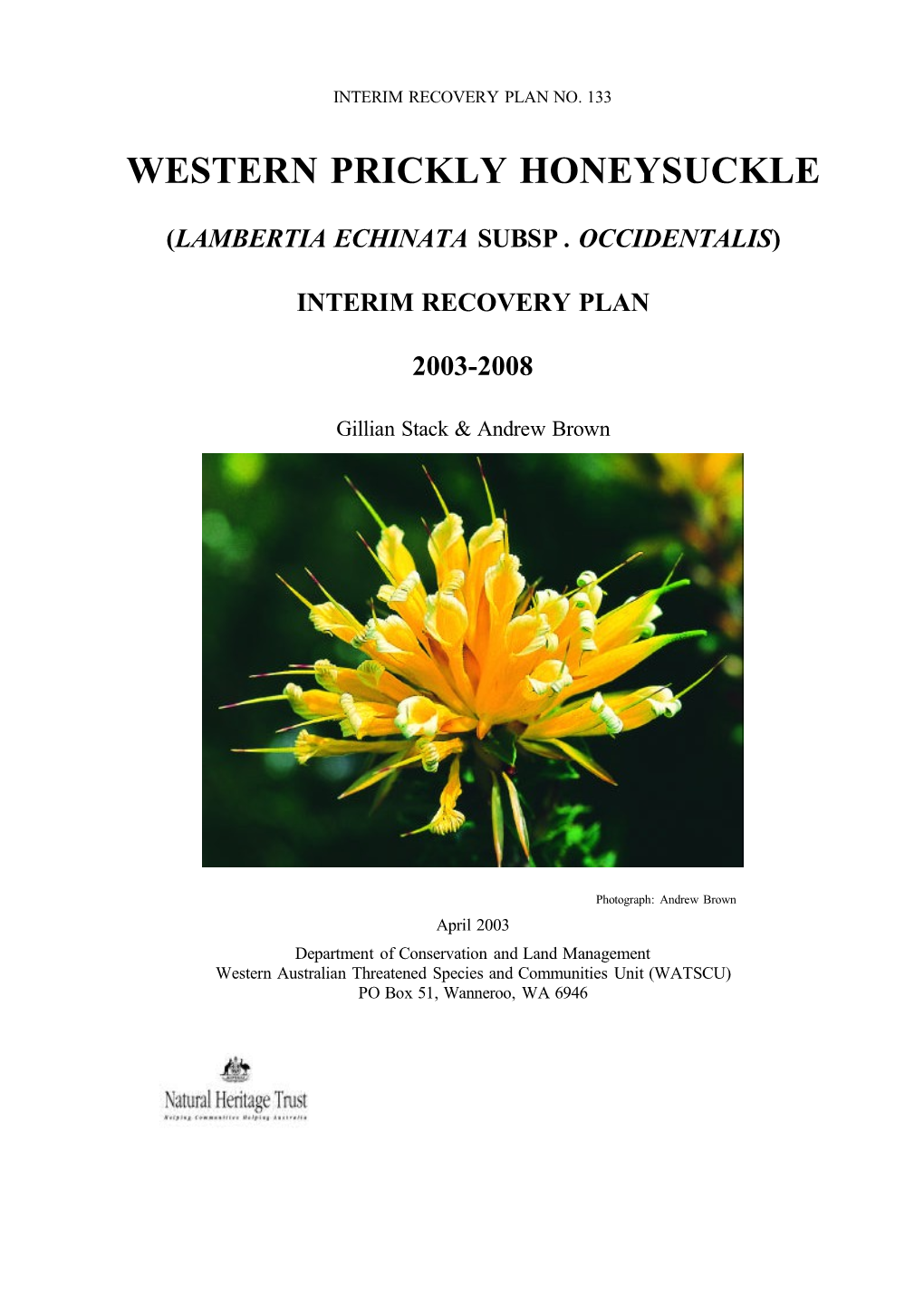 Western Prickly Honeysuckle (Lamberta Echinata Subsp. Occidentalis) Interim Recovery Plan