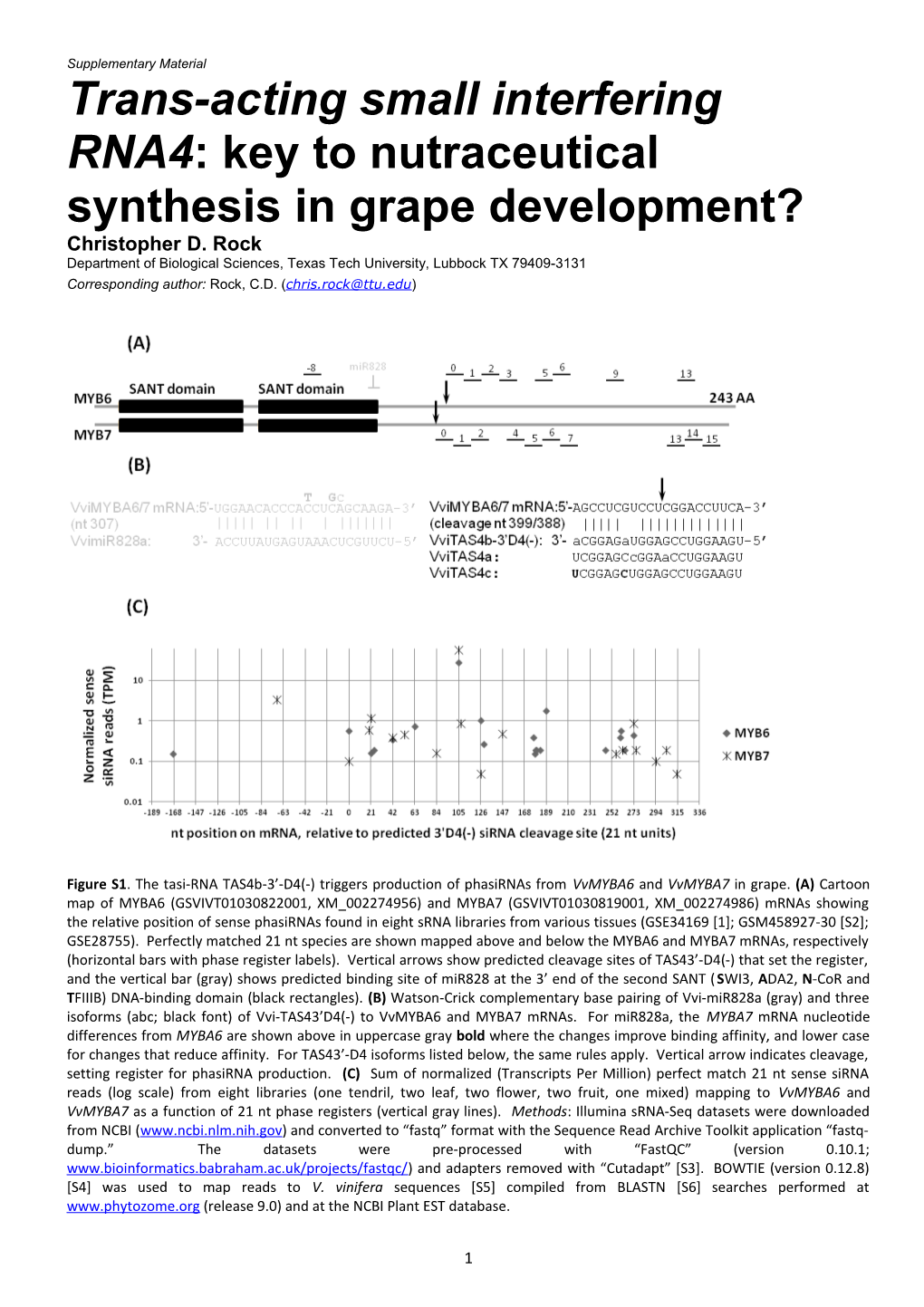 Trans-Acting Small Interfering RNA4: Key to Nutraceutical Synthesis in Grape Development?