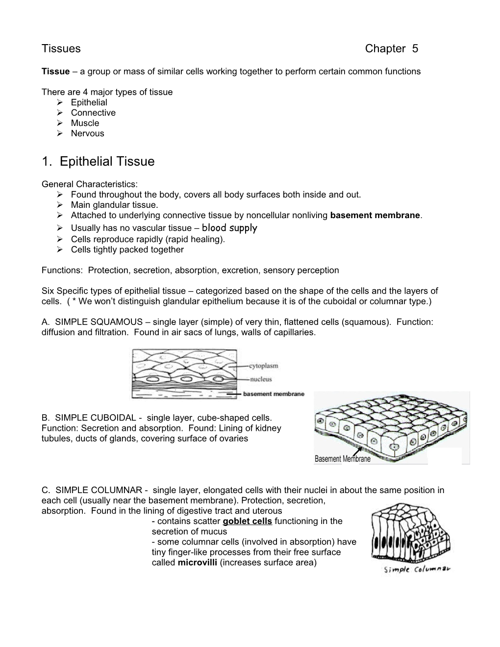 Tissue a Group Or Mass of Similar Cells Working Together to Perform Certain Common Functions