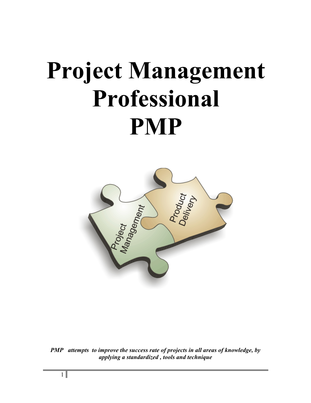 Project Management Framework and Initiating the Project