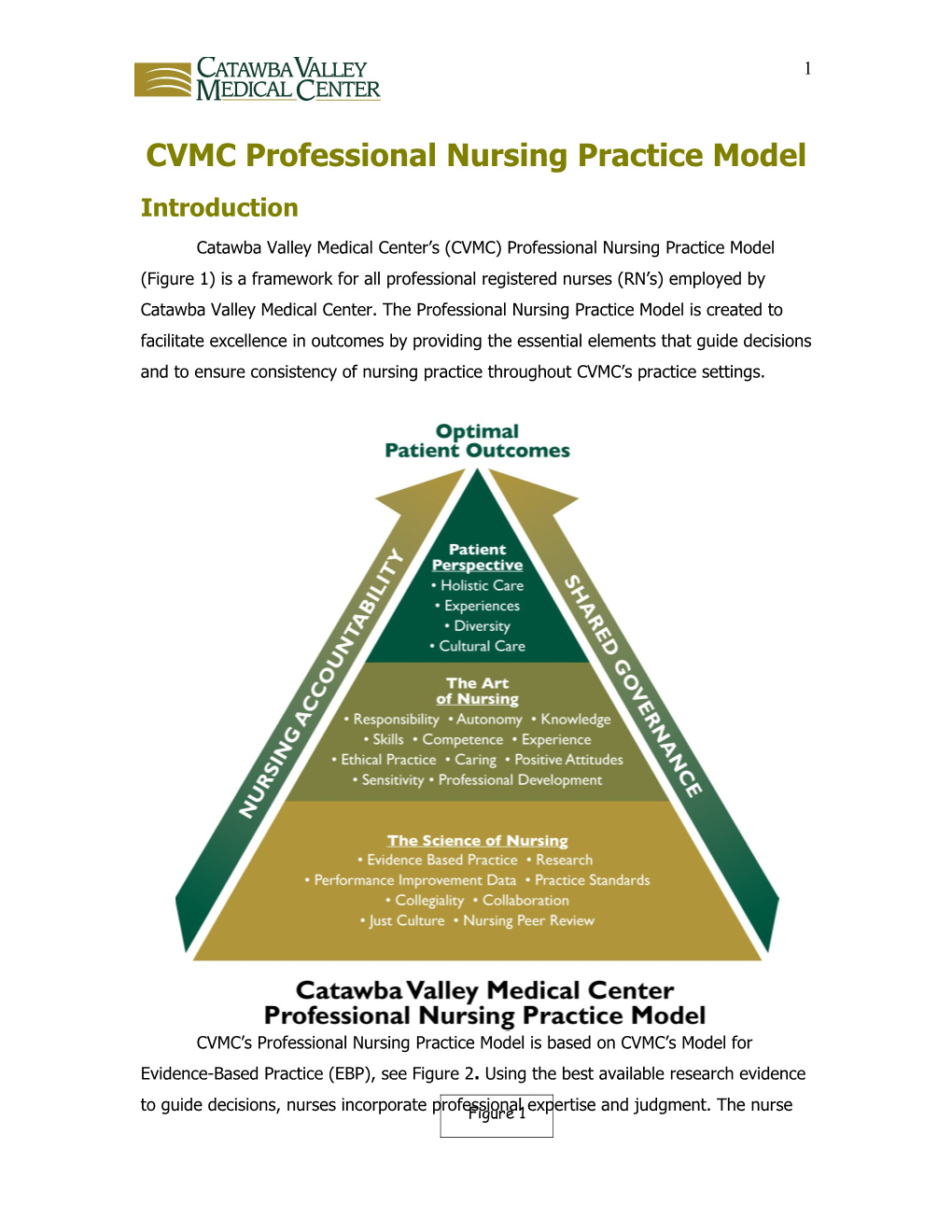 CVMC Nursing Professional Model